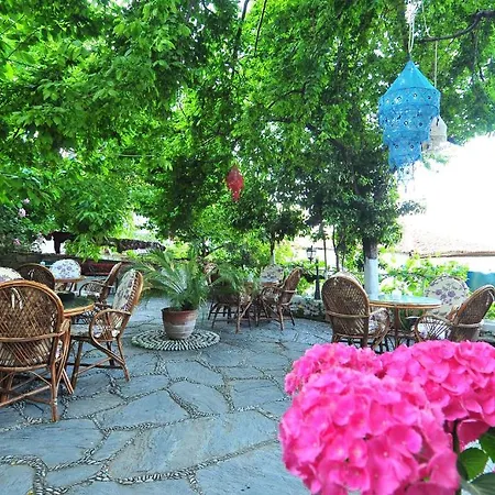 Erdem Mansion Inn *